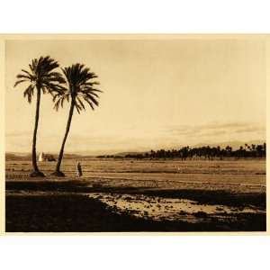  1924 Biskra Oasis Landscape Algeria Lehnert & Landrock 