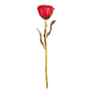  Gold Dipped Ruby Sun Valentines Day Rose