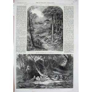    Woodland Glade Trees 1861 Path Blackdown Surrey Art