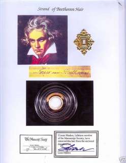 BEETHOVEN AUTHENTIC HAIR SEE  STORE  