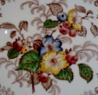 Ridgway Apple Blossom Brown Dinner Plate  