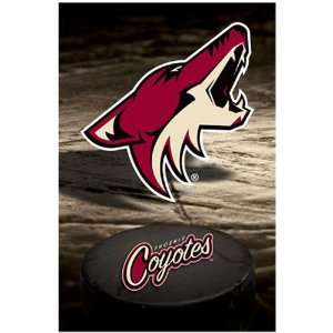  NHL COYOTES POSTER LOGO Movies & TV