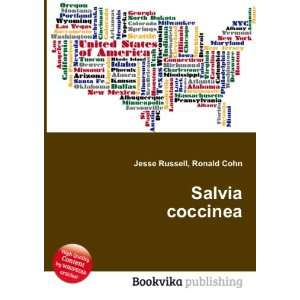  Salvia coccinea Ronald Cohn Jesse Russell Books