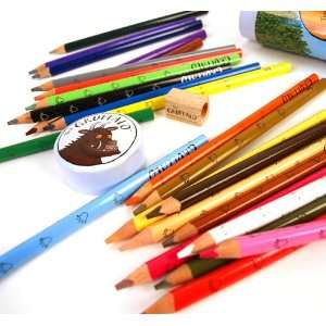    Wild and Wolf 24 Chunky Pencil Set   The Gruffalo Toys & Games