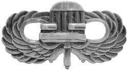 CHAIR BORNE Paratrooper Jump Wing P849 CHAIRBORNE  