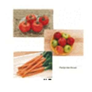  Stages Learning Materials SLM153 Fruits & Vegetables 