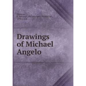  Michael Angelo. E. Borough. Michelangelo Buonarroti, Johnson Books