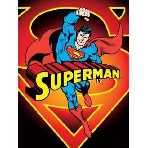  DC Comics ~ Superman In Front of Shield ~ Textile Fabric 