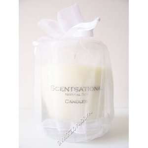 Scentsational Frosted Sugar Cookie Fragrance Soy Candle  
