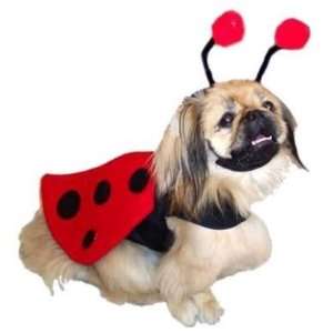  Lady Bug Dog Costume