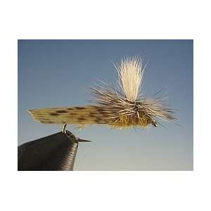  Parachute Golden Stonefly