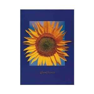  Blue Sky Sunflower Poster Print