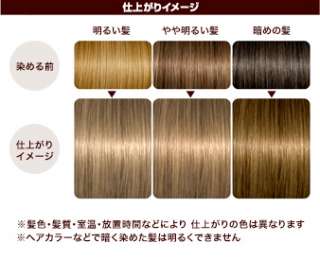 LUCIDO L Japan Milk Jam Hair Color Dying Kit  