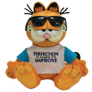 GARFIELD TY BEANIE BABY PERFECTION SUNGLASSES POOKY  