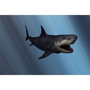  A Megalodon Shark from the Cenozoic Era by Stocktrek 