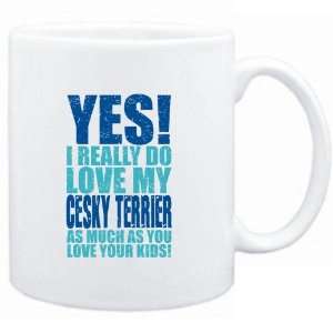    YES I REALLY DO LOVE MY Cesky Terrier  Dogs