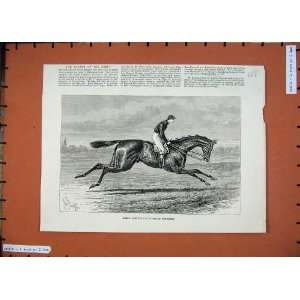    1887 Merry Hampton Winner Derby Horse Racing Sport