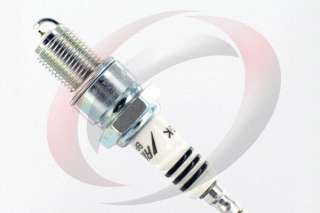 This auction is for one NEW NGK Spark Plug shown above and fits the 