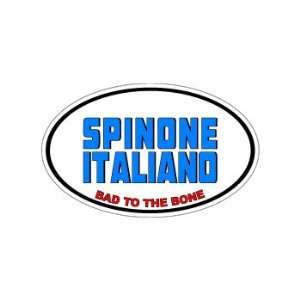SPINONE ITALIANO   Bad to the Bone   Dog Breed Euro   Window Bumper 