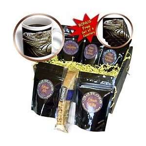 TNMGraphics Animals   Iguana   Coffee Gift Baskets   Coffee Gift 