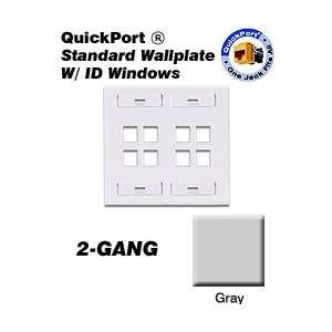   Wallplate 2 Gang 8 Port Standard Size Plastic   Gray