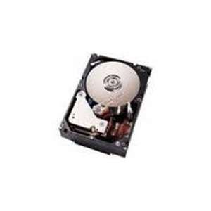  1TB 42D0547 Sas 7200 RPM3.5IN Nl Hs for Blade Server 