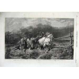   1867 Horses Escaping Fire Country Art Adolphe Schreyer