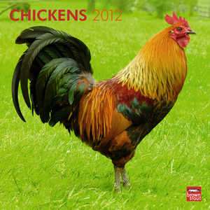 Chickens 2012 Wall Calendar 9781421674872  