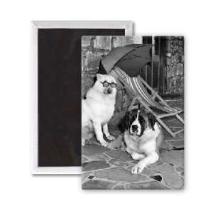  Alsatian Twoshaun and St. Bernard Brandy   3x2 inch Fridge 