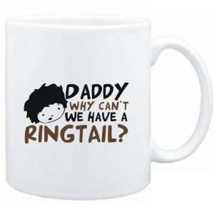    Daddy why can`t we have a Ringtail ?  Animals