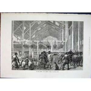  Cattle Market Deptford Shed London Sheep Print 1872