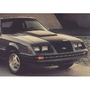  1983 84 GT Stripe & 4 Names Kit   SILVER/BLACK Automotive