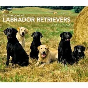  For the Love of Labrador Retrievers 2010 Deluxe Wall 
