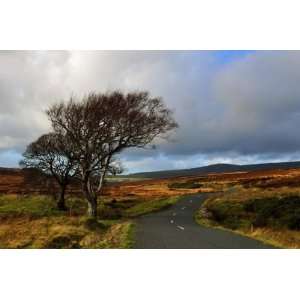  Sally Gap Wicklow