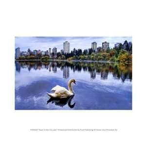  Swan in the City Lake 10.00 x 8.00 Poster Print