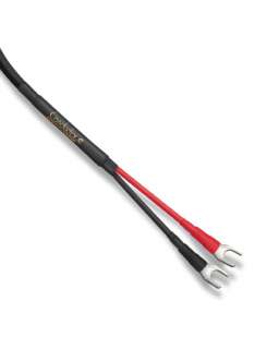 Audience Conductor Audiophile Speaker Cable . New Pair . Affordable 