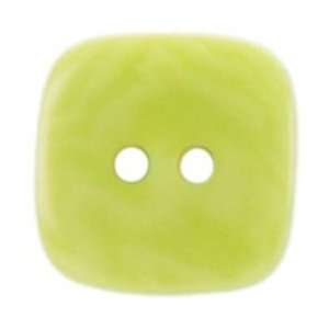 Paradise Exotic Shawl Pins Corozo Square Button 5/8 Green 
