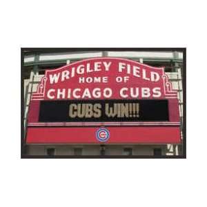  Cubs Win Framed Poster