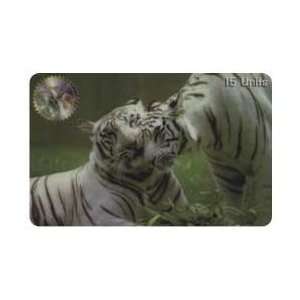   Phone Card 15u Two White Tigers Cuddling (Photo) 