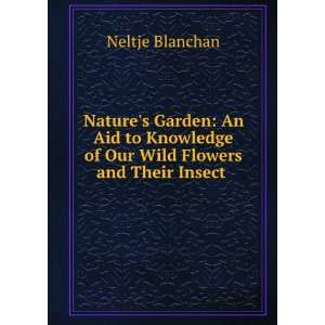   Garden An Aid to Knowledge of Our Wild Flowers and Their Insect