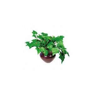  Nu Dell Medium Green Potted Plant   Mixed   Green 