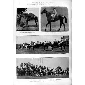  1901 Eclipse Stakes Sandown Park Jubilee Epsom Lad Ian 