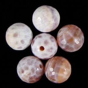    10mm faceted crab fire agate round beads 6 pcs