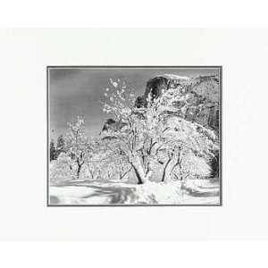  Ansel Adams   Half Dome, Apple Orchard, Winter LG Matted 