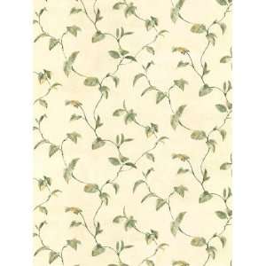    Wallpaper Patton Wallcovering Arabella II AR27010