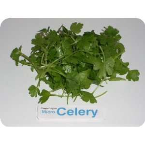 Micro Greens   Celery   4 x 4 oz Grocery & Gourmet Food