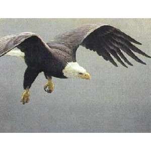  Robert Bateman   Approach Bald Eagle