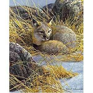  Robert Bateman   Curled Up Swift Fox