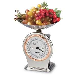  Salter Housewares Stainless Steel Kitchen Scale 6 Lb 