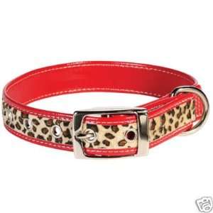  Zack & Zoey Red Leopard Safari Dog Collar 1 x 14 18 